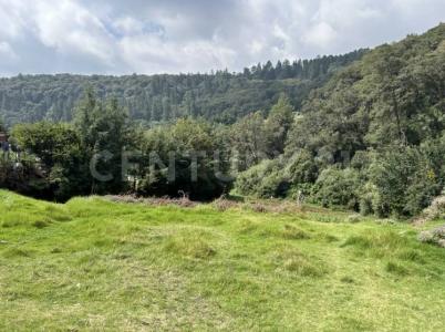 11158 Nayarit 11,, Isidro Fabela, 墨西哥州 54483, 墨西哥