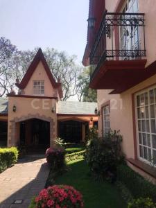 Minerva 225,, Alvaro Obregón, Ciudad De México 01030, México