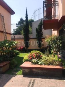 Minerva 225,, Alvaro Obregón, Ciudad De México 01030, México