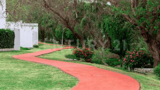 Paseos del Parque SN,, Morelia, Michoacán 58254, 墨西哥