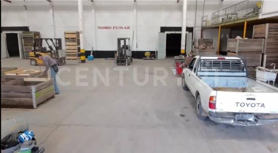 Cuauhtémoc, 奇瓦瓦 31500, 墨西哥