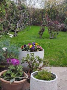 Manuela Saez 700, Ciudad De Mendoza, Mendoza 5500, Argentine