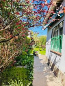 Manuela Saez 700, Ciudad De Mendoza, Mendoza 5500, Argentine