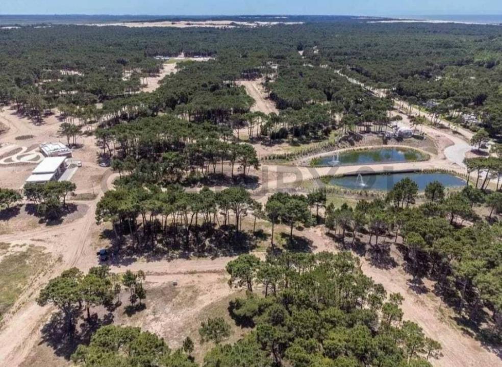 Olimpo y Shaw , Pinamar, Buenos Aires Costa Atlántica 00001, Argentina