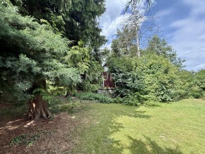 Dresden, Sachsen 01239, Alemania