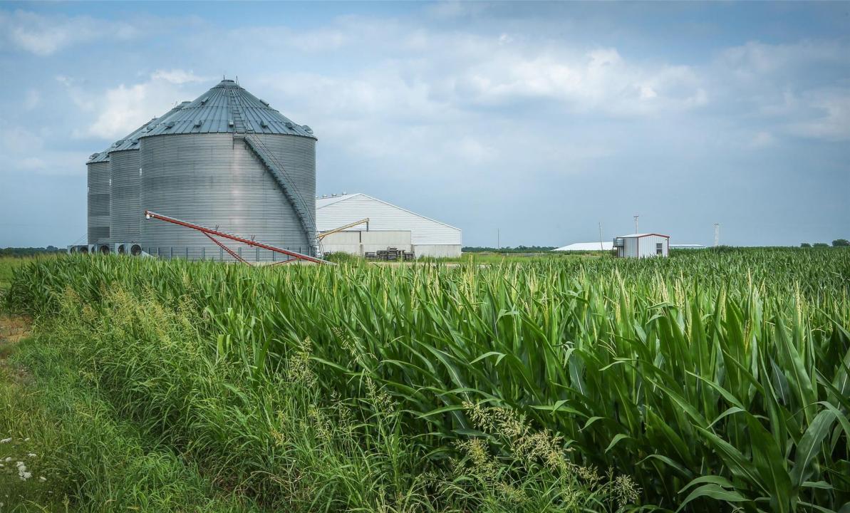 300 PR 14030, Blossom, 德克薩斯州 75416, 美國