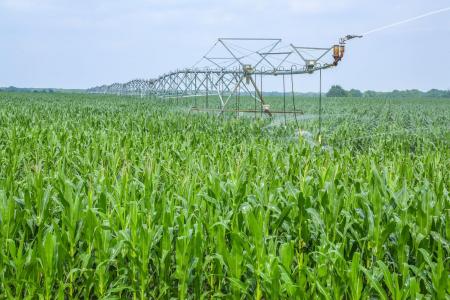 300 PR 14030, Blossom, 德克薩斯州 75416, 美國