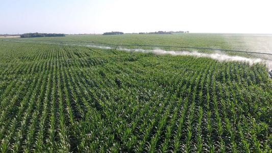 300 PR 14030, Blossom, 德克薩斯州 75416, 美國