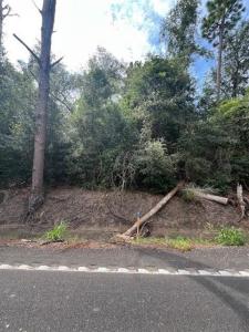 0 Mark Lebleu Road, Iowa, Louisiana 70615, USA