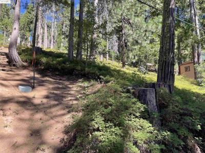 25476 Rebekah Rd, Long Barn, קליפורניה 95335, ארצות הברית של אמריקה