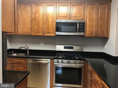 5817 Cove Landing Road , 301, Burke, Virgínia 22015, Estados Unidos