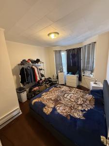 133 West 20th St , 4, Bayonne, 新泽西州 07002, 美国