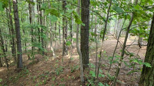 201/225 Compass Drive, Jasper, Tennessee 37347, Estados Unidos