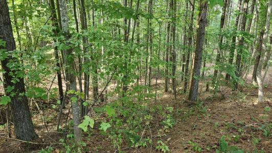 201/225 Compass Drive, Jasper, Tennessee 37347, Estados Unidos