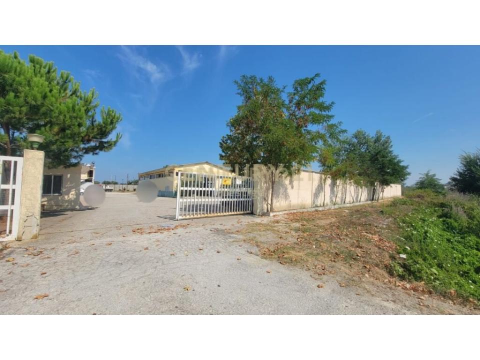 Panaja, Vlorë, Albania