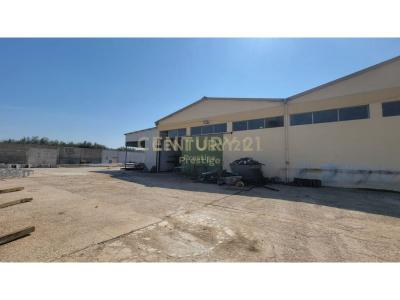 Panaja, Vlorë, Albania