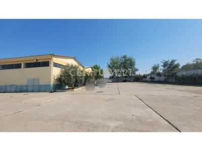 Panaja, Vlorë, Albania