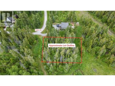 LOT 16 SELKIRK ROAD, Crawford Bay, Colombie-Britannique V0B 1E0, Canada