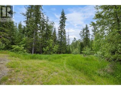 LOT 16 SELKIRK ROAD, Crawford Bay, Britisch-Kolumbien V0B 1E0, Kanada