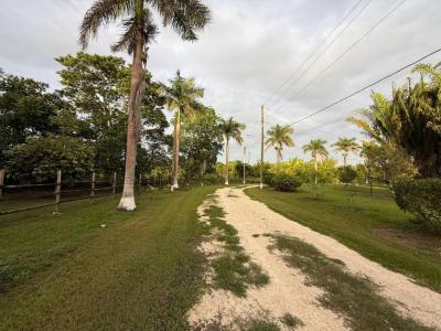 Cayo District, Cayo 00001, 벨리즈