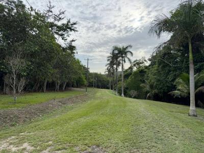 Cayo District, Cayo 00001, 벨리즈