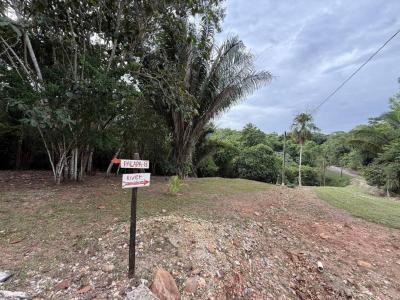 Cayo District, Cayo 00001, 벨리즈