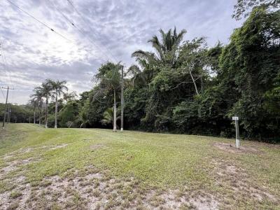 Cayo District, Cayo 00001, 벨리즈