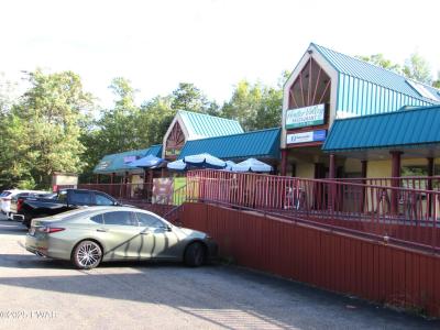 641 Route 739, Lords Valley, 賓夕法尼亞州 18428, 美國