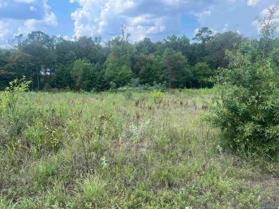 TBD N Hwy 59, Marshall, Texas 75672, Stati Uniti