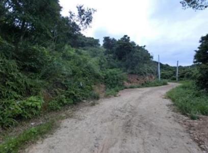 光峯路, 龜山區, Taoyuan City 333, Taiwan