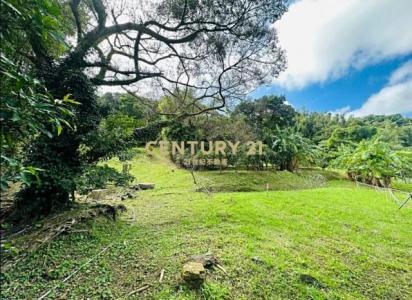 塔寮坑段, 龜山區, 타오 위엔 333, 대만