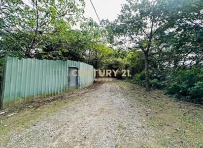 塔寮坑段, 龜山區, 타오 위엔 333, 대만