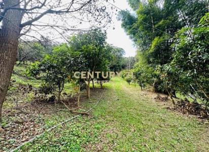 塔寮坑段, 龜山區, 타오 위엔 333, 대만