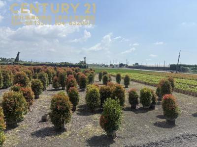 福中段, Yongjing Township, Changhua County 512, Taiwan