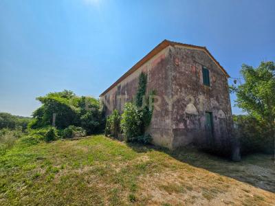 Via del Madonnino, Roccastrada, Toscana 58036, Italia