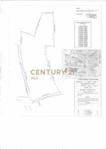 Aegina, Argosaronikos Islands, Grecja