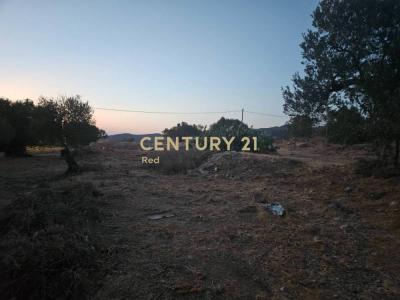 Aegina, Argosaronikos Islands, Grèce