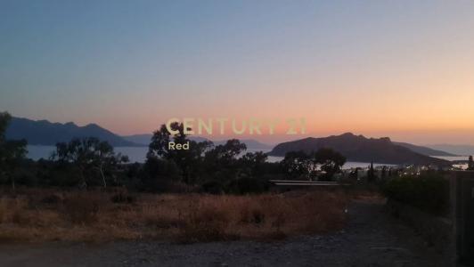 Aegina, Argosaronikos Islands, Grèce