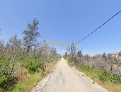 Afidnes, Rest Of Attica, Grecia