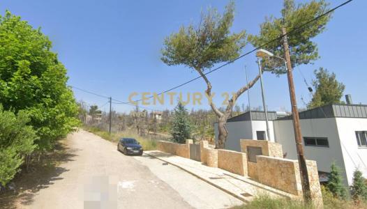 Afidnes, Rest Of Attica, Grecia