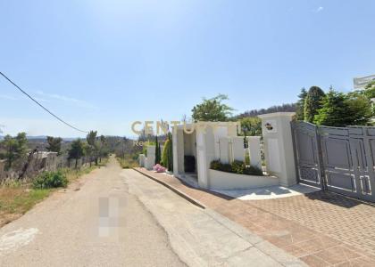 Afidnes, Rest Of Attica, Grecia