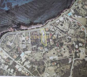 Aegina, Argosaronikos Islands, Grèce