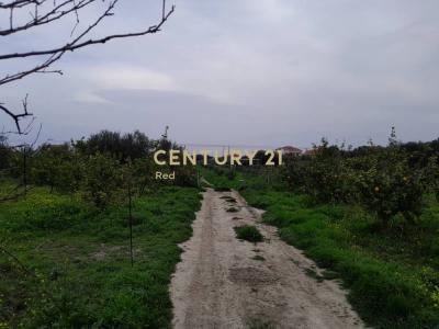 Xilokastro, Corinthia, Griechenland