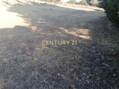 Anavissos, Rest Of Attica, Grèce