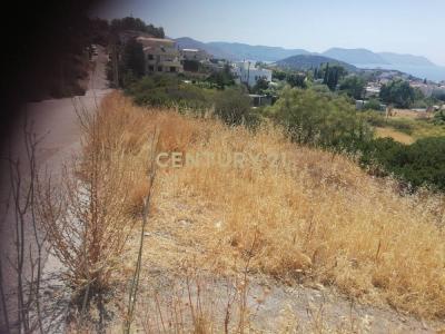 Anavissos, Rest Of Attica, Grèce