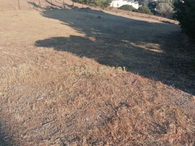 Anavissos, Rest Of Attica, Grèce