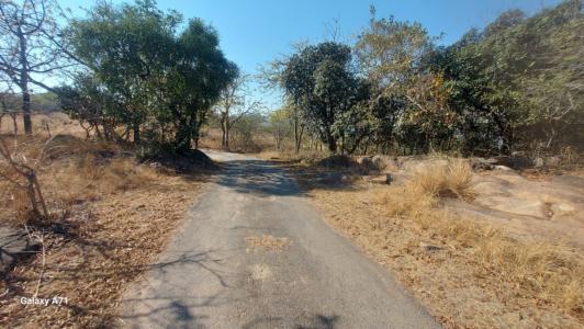 White River, Mpumalanga, South Africa