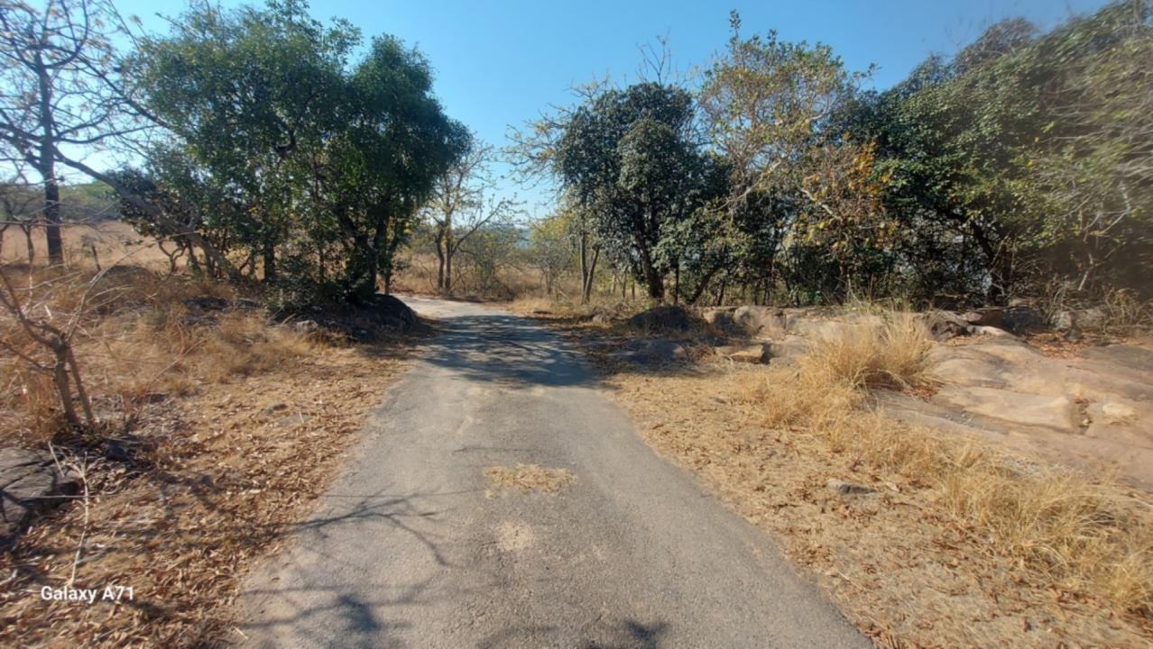 White River, Mpumalanga, South Africa