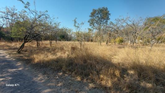 White River, Mpumalanga, South Africa