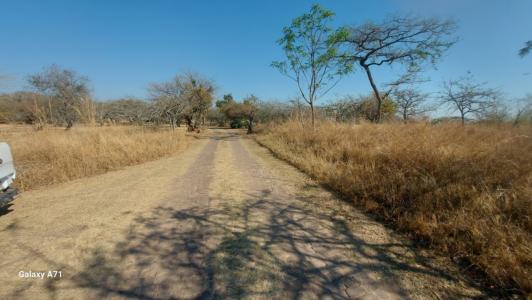 White River, Mpumalanga, South Africa